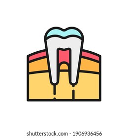 Tooth, gum, dentist, human organ flat color line icon.