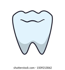tooth human isolated icon vector illustration