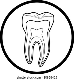 tooth icon