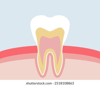 Tooth icon. In the context icon. Flat style. Vector icon.