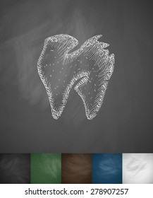 tooth icon. Hand drawn vector illustration. Chalkboard Design