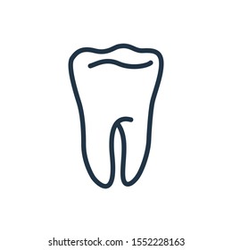 Tooth icon. Isolated enamel and tooth icon line style. Premium quality vector symbol drawing concept for your logo web mobile app UI design.