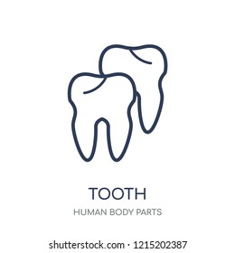 Tooth icon. Tooth linear symbol design from Human Body Parts collection.