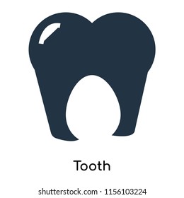 Tooth icon vector isolated on white background. thin symbols or lined elements in outline style