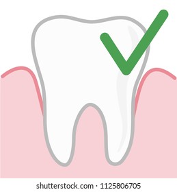 Tooth illustration. The tooth and gums. Vector object