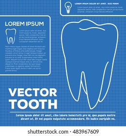 Tooth infographic template. Blueprint style. Can be used for web design and workflow layout