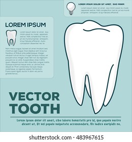 Tooth infographic template. Can be used for web design and workflow layout