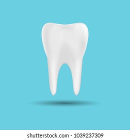 Tooth isolated on a blue background. Design element. Vector illustration.