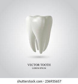 Tooth isolated on white background. 3D render. Dental, medicine, health concept.