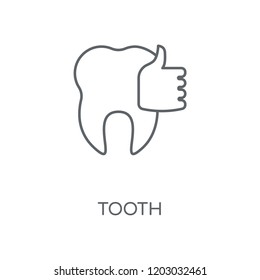 Tooth linear icon. Tooth concept stroke symbol design. Thin graphic elements vector illustration, outline pattern on a white background, eps 10.