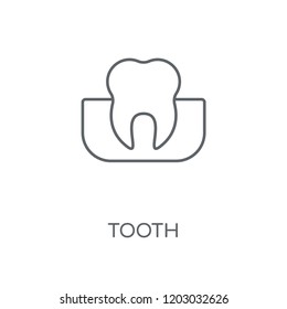 Tooth linear icon. Tooth concept stroke symbol design. Thin graphic elements vector illustration, outline pattern on a white background, eps 10.
