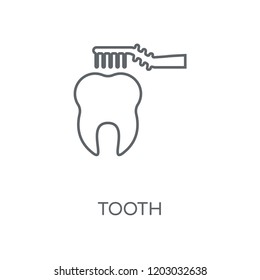 Tooth linear icon. Tooth concept stroke symbol design. Thin graphic elements vector illustration, outline pattern on a white background, eps 10.