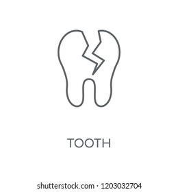 Tooth linear icon. Tooth concept stroke symbol design. Thin graphic elements vector illustration, outline pattern on a white background, eps 10.