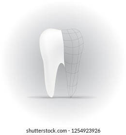 tooth mesh and 3d illustration