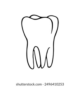 tooth molar three quarters drawing - hand drawn doodle