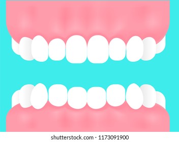tooth mouth illustration