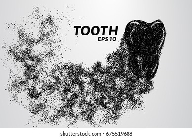 The tooth of the particles. The tooth crumbles into small circles and dots