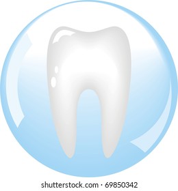tooth is protected by a glass sphere, dentistry
