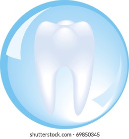 tooth is protected by a glass sphere, dentistry