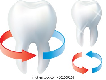 tooth and protection arrows isolated on white photo-realistic vector illustration