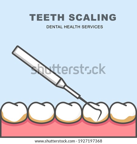 Tooth scaling icon - row of tooth, cleaning with periodontal probe