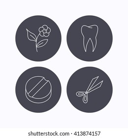 Tooth, scissors and tablet icons. Flower linear sign. Flat icons in circle buttons on white background. Vector