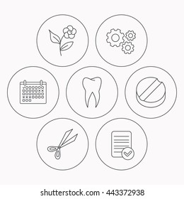 Tooth, scissors and tablet icons. Flower linear sign. Check file, calendar and cogwheel icons. Vector
