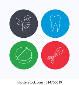 Tooth, scissors and tablet icons. Flower linear sign. Linear icons on colored buttons. Flat web symbols. Vector
