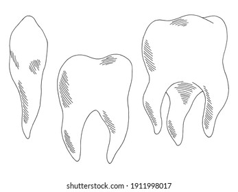 Tooth set graphic black white isolated sketch illustration vector