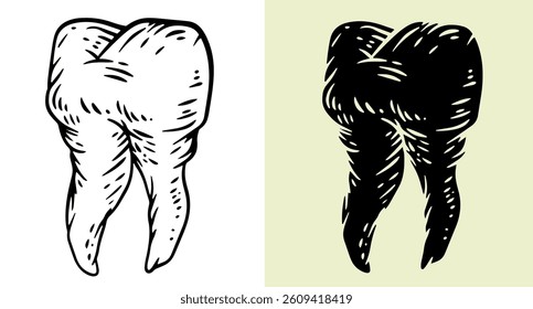 Tooth silhouette in hand drawn style. Set design element for print, tattoo, healthcare in outline and fill version. Vintage vector illustration.