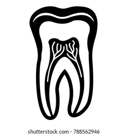 Tooth structure icon. Simple illustration of tooth structure vector icon for web
