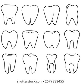 Tooth or teeth icons for dentistry clinic, toothpaste and dental mouthwash. Vector outline healthy tooth or teeth icons . 1176