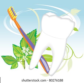 Tooth, toothbrush and mint sprig. Vector