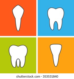 Tooth Types. Canine, Pre-molar, Molar, Incisor. Dental Vector Illustration