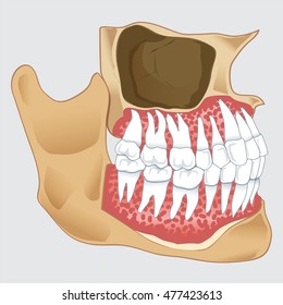 tooth vector 10,dentist, teeth vector 10