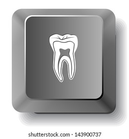 Tooth. Vector computer key.
