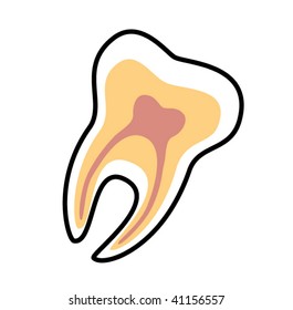 tooth vector icon