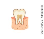tooth vector illustration