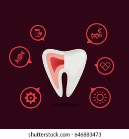 Tooth vector illustration:  infographic