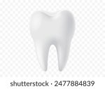 Tooth white, 3D illustration of a tooth on a transparent background. Vector illustration