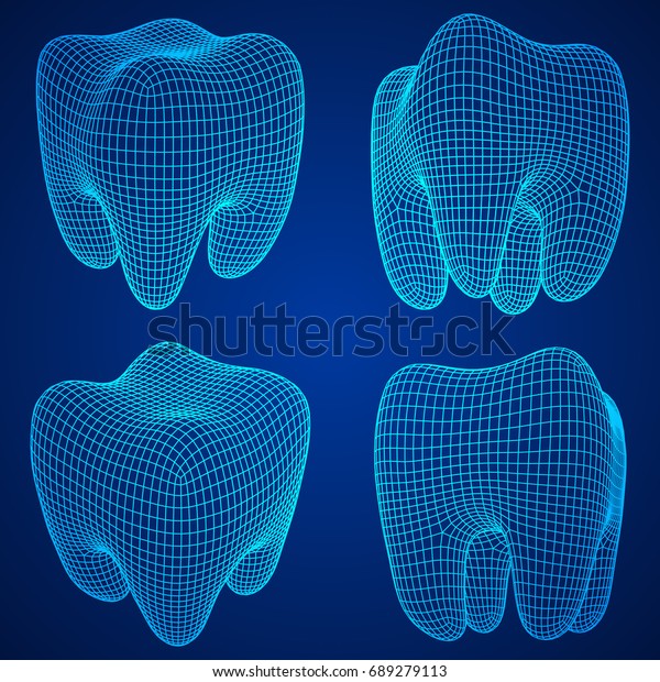 Tooth Wireframe Mesh Set Connection Structure Stock Vector Royalty Free Shutterstock