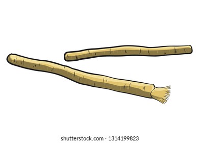 Toothbrush Miswak Or Siwak