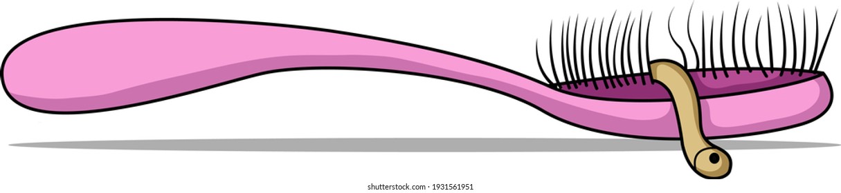 el cepillo de dientes que ha sido hace mucho tiempo tendrá muchos gérmenes