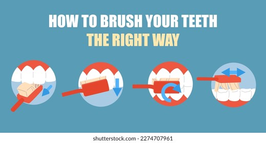 Técnica derecha de cepillado dental, pancarta estomatológica - ilustración vectorial plana. Instrucción de lavado de dientes con flechas. Atención odontológica y oral.