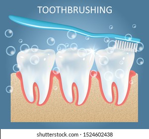 Toothbrushing vector medical education anatomy poster template. Realistic toothbrush brushing white teeth. Dental care and oral hygiene, tooth cleaning concept.