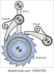 Toothed Ratchet Wheel