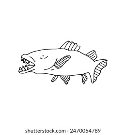 Toothfish, an aquatic vertebrate. Sea World. Doodle. Vector illustration. Hand drawn. Outline.