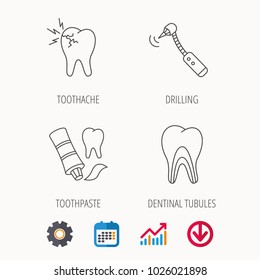Toothpaste, dental tubules and toothache icons. Drilling tool linear sign. Calendar, Graph chart and Cogwheel signs. Download colored web icon. Vector