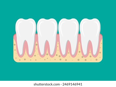 Tooths icon with gum. Human teeth in flat style. Dental concept. Hygiene and oralcare. Vector illustration