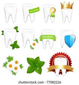 Tooths Set, Isolated On White Background, Vector Illustration